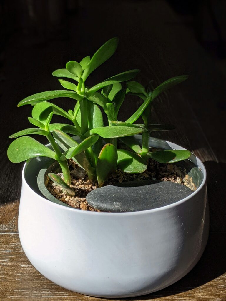 Best Gifting ideas 2024